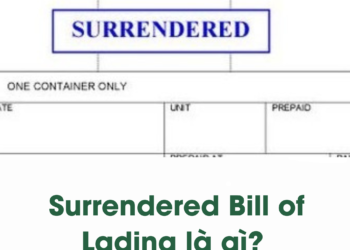 Lưu Trữ Surrender Bill Of Lading - Kênh Chia Sẻ Thông Tin Logistics